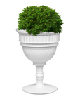 Listo para entrega - Jardinera / Champagne Cooler Capitol Planter Qeeboo