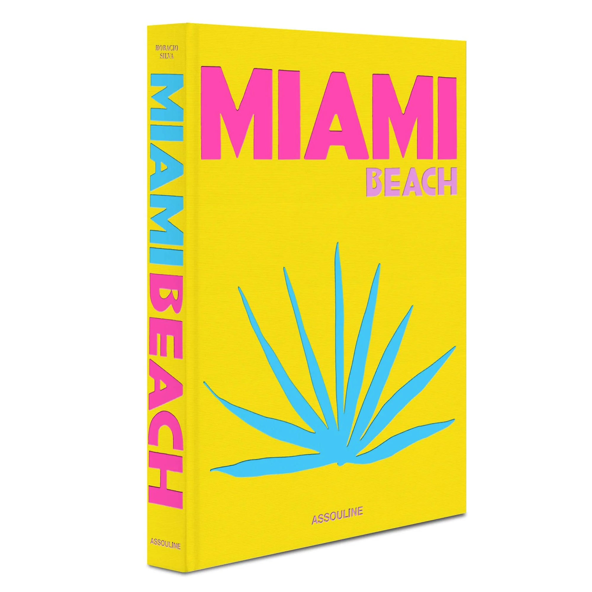 Libro Miami Beach - Assouline